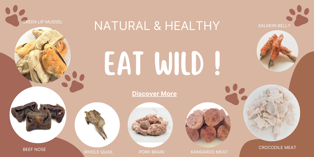 natural and healthy treats for dogs and cats