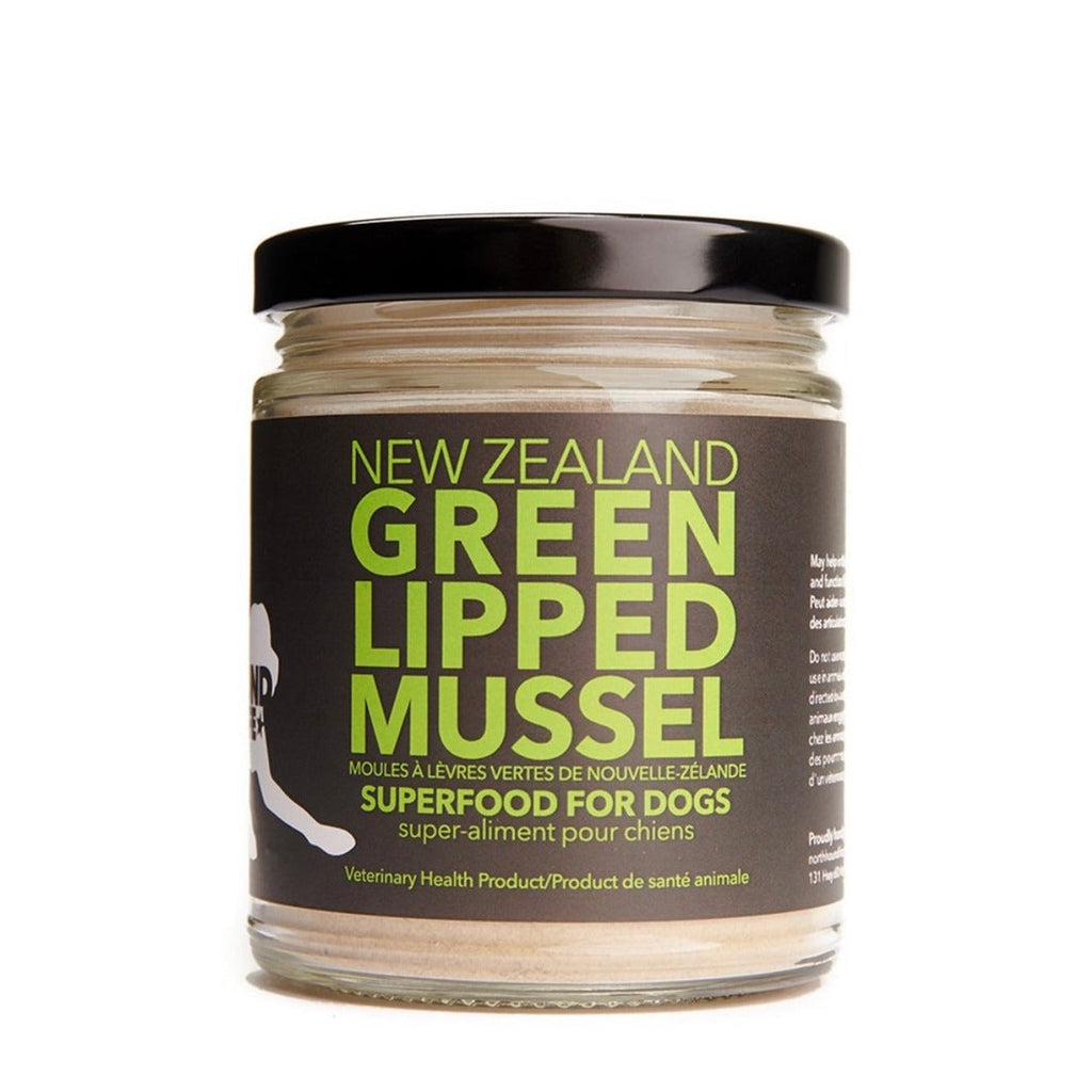New Zealand Green Lipped Mussel
