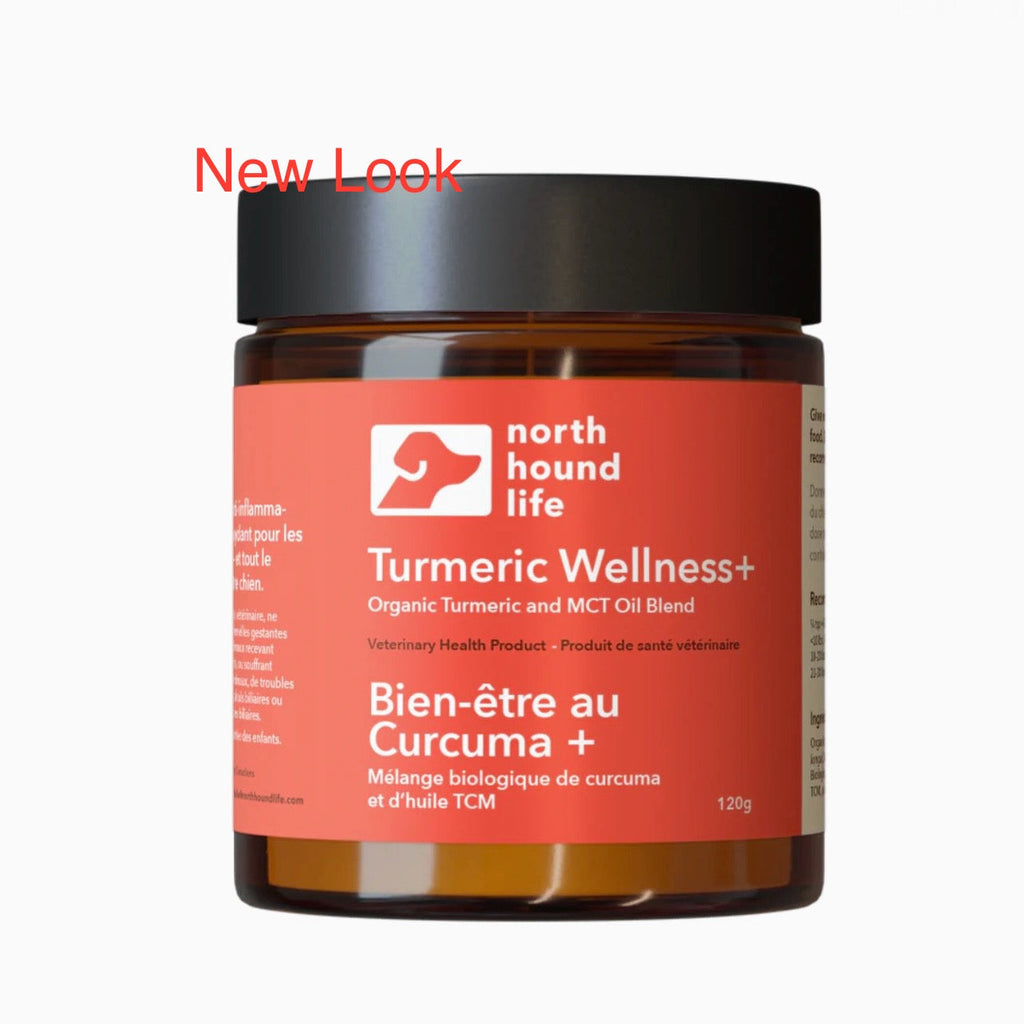 Jar of North Hound Life Turmeric Wellness+ on a white background