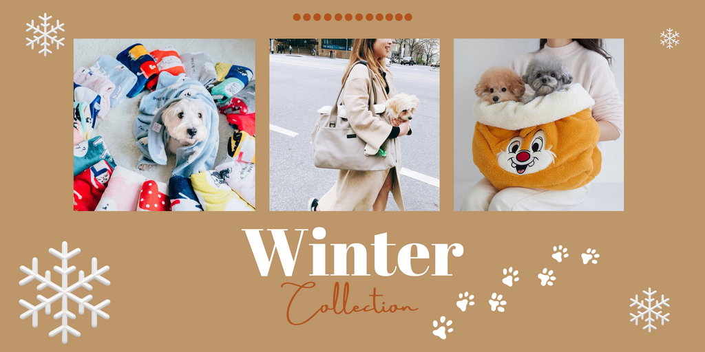 winter supplies & products for dogs and cats