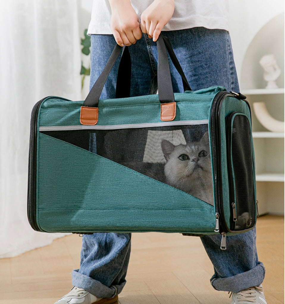 Pet Bags & Carriers – Joy Paw